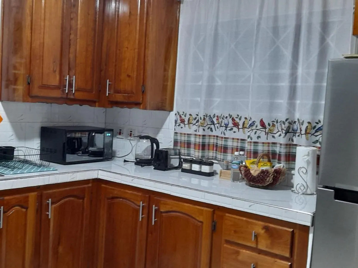 Holiday home Ultimate Chill Brown'S Town Villa Browns Town